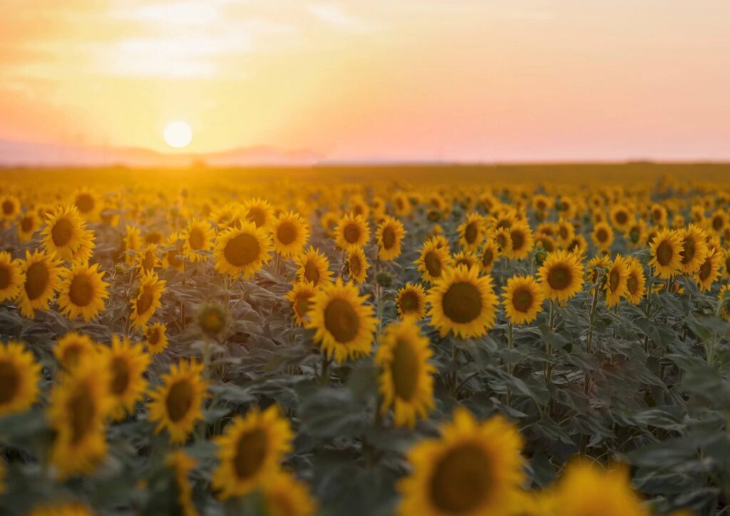 Power of positivity for success