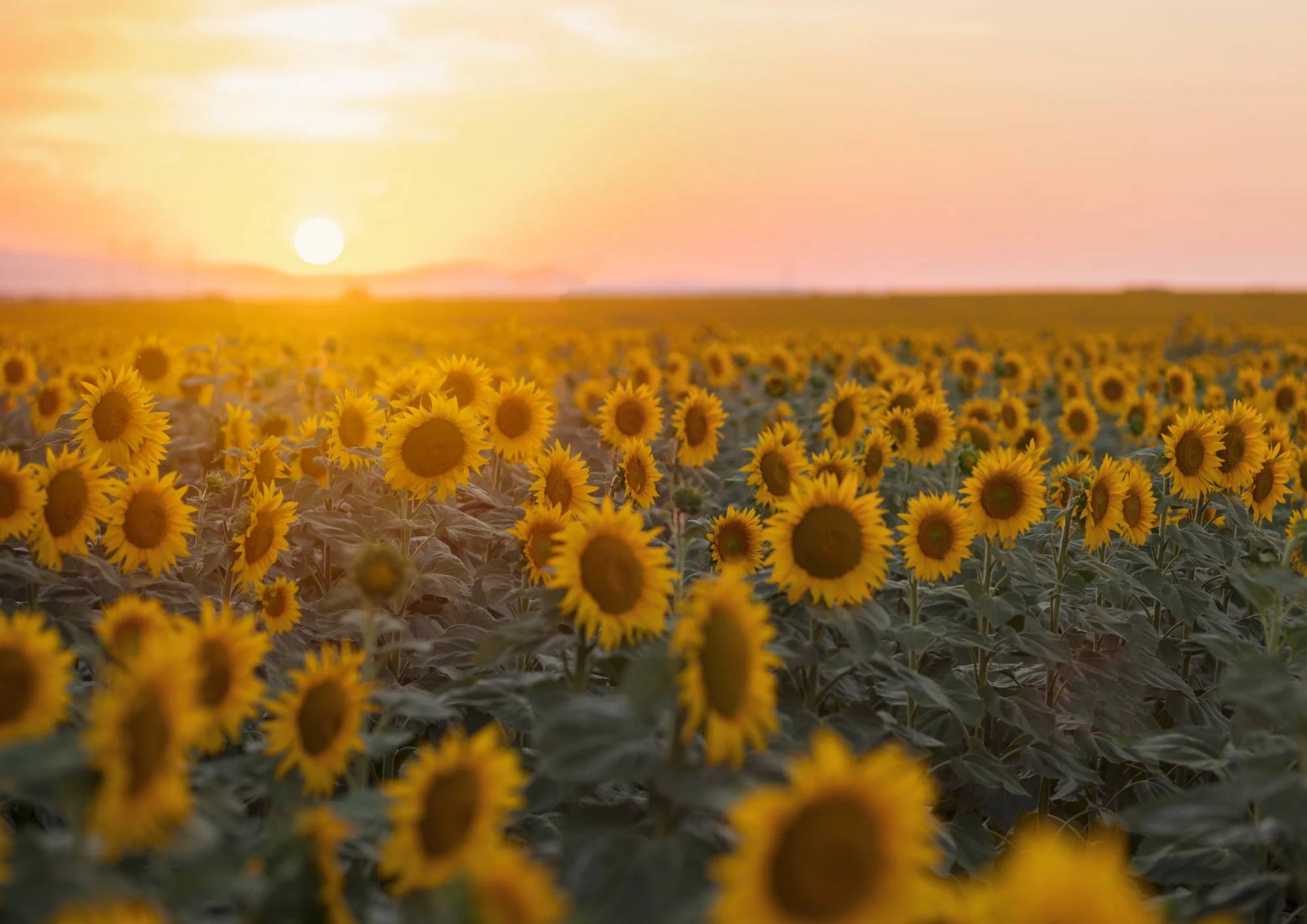 Power of positivity for success