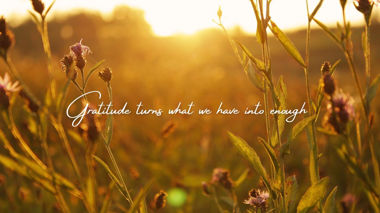 quotes about gratitude