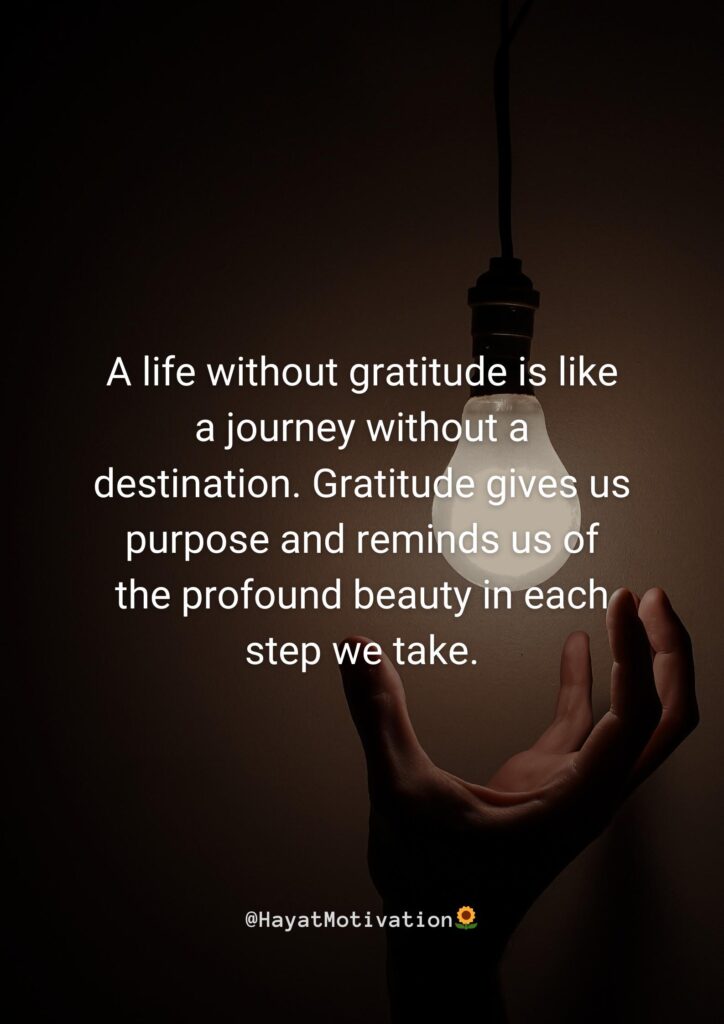 Journey of gratitude