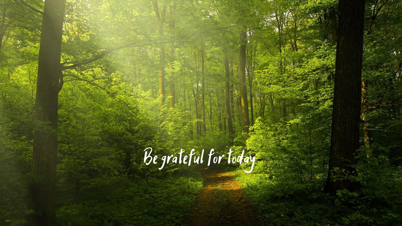 Be grateful for today