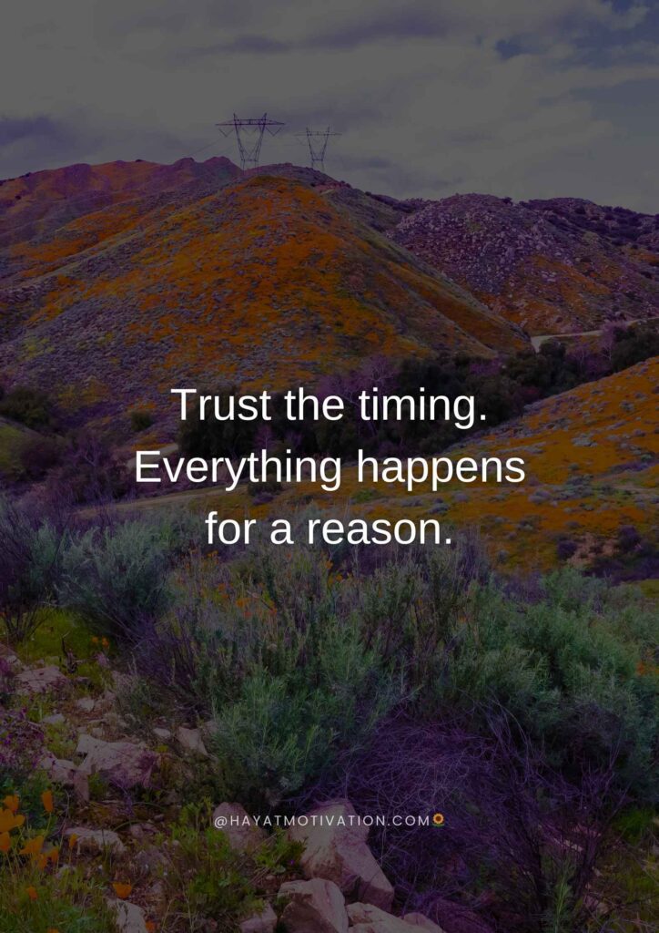 trust-the-timing