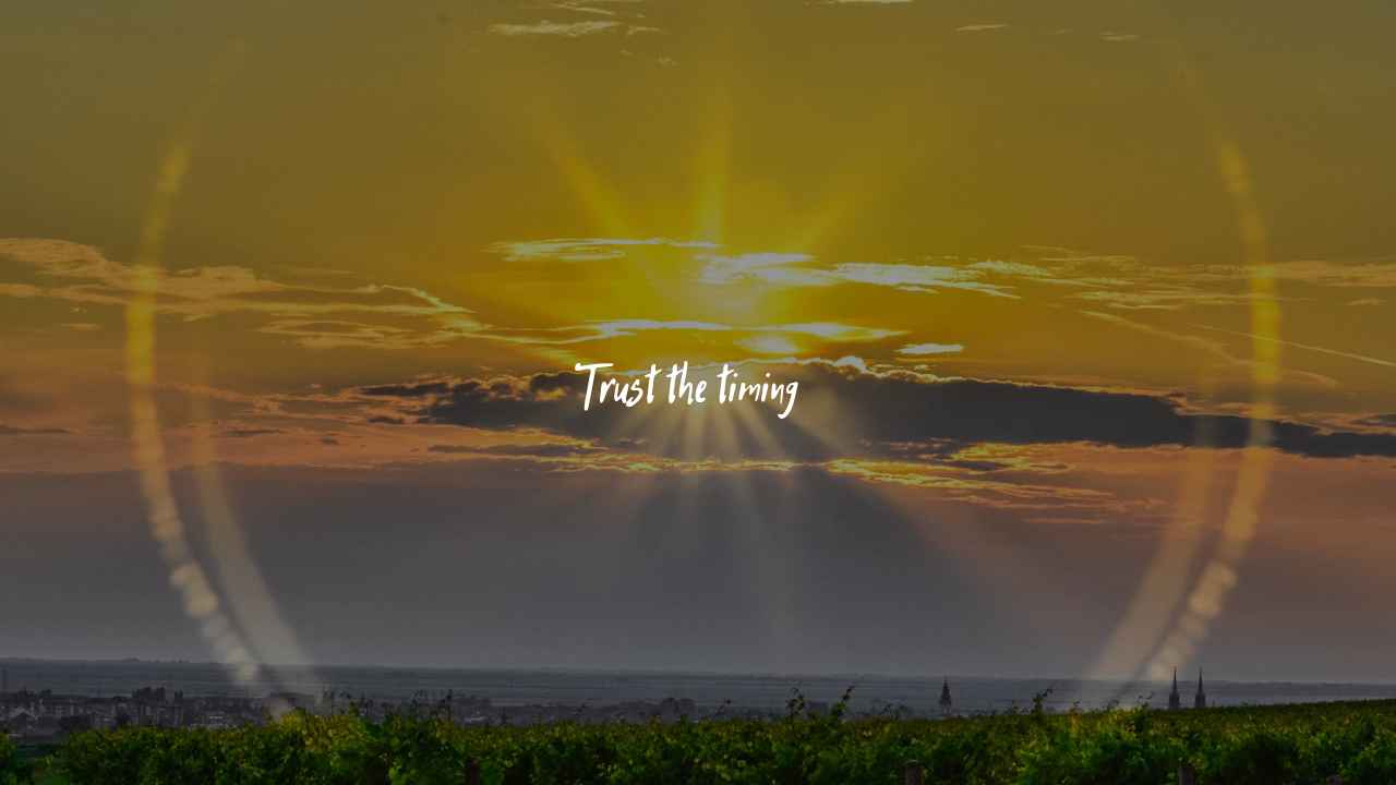 trust-the-timing